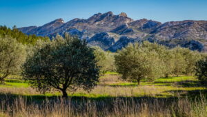 Conciergerie Maison Évasion - Les Alpilles